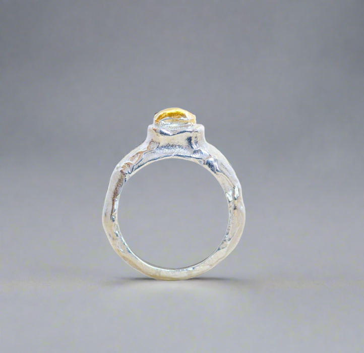 Precious Ring